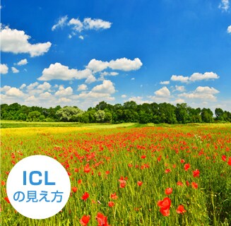 ICLの見え方