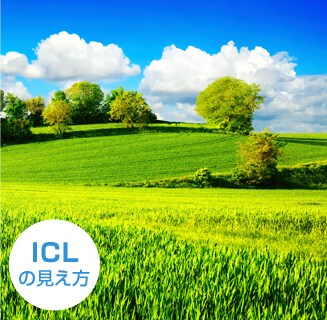 ICLの見え方