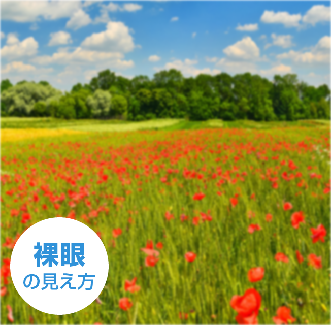 裸眼の見え方