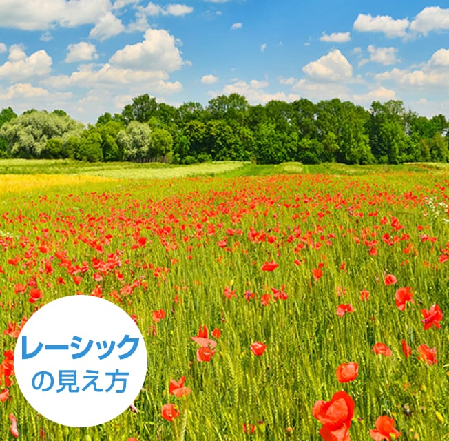 裸眼の見え方