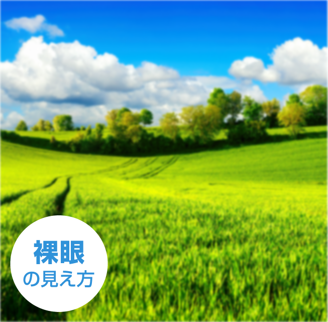 裸眼の見え方