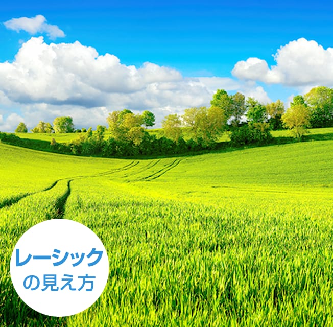 裸眼の見え方