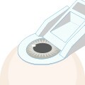 STEP2 フラップを作成