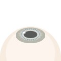 STEP6