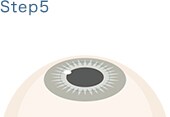 STEP.5