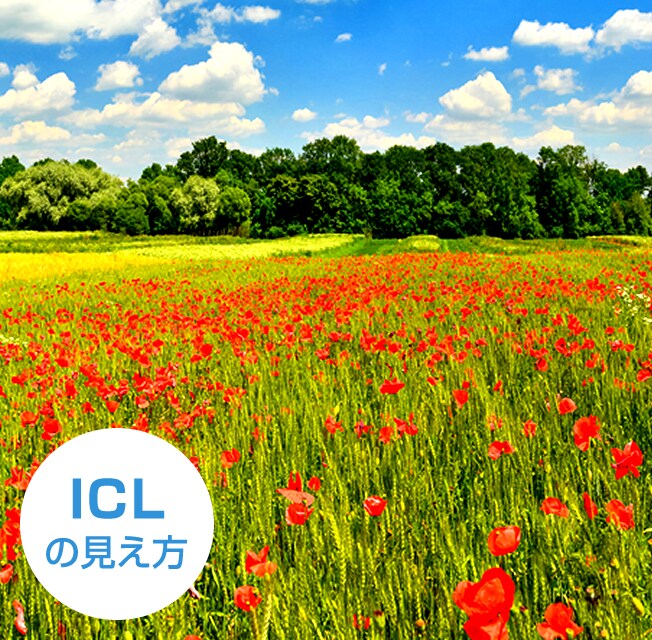 ICLの見え方