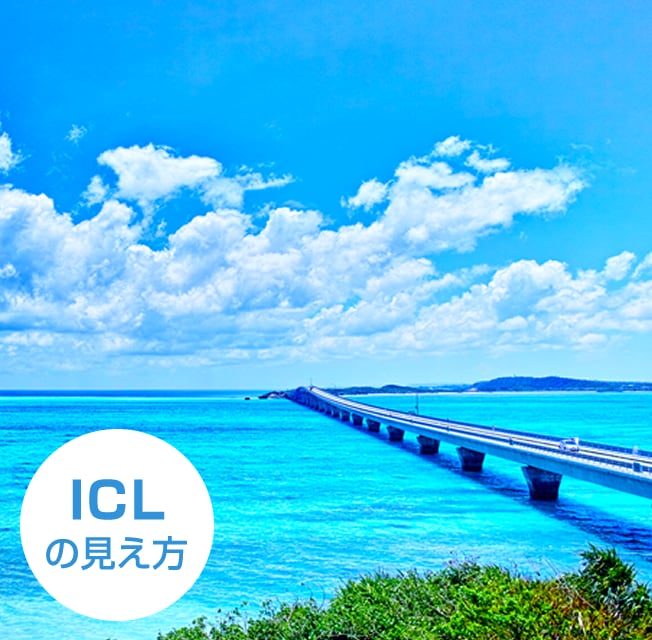 ICLの見え方