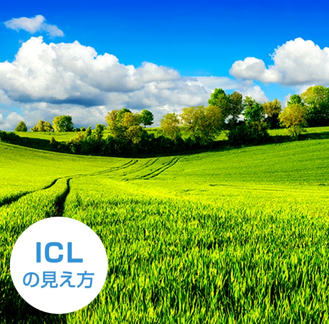 ICLの見え方